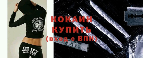 прущие грибы Покров