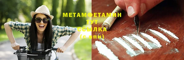 прущие грибы Покров