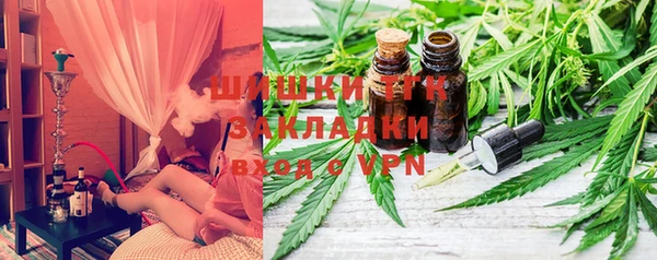 прущие грибы Покров