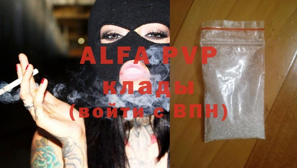 прущие грибы Покров