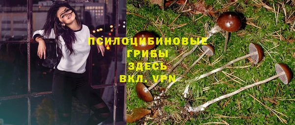 прущие грибы Покров