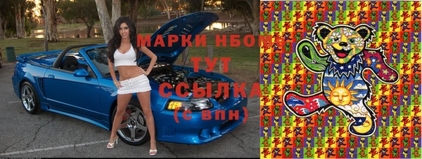 прущие грибы Покров